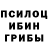 Галлюциногенные грибы Magic Shrooms Pasha Dada