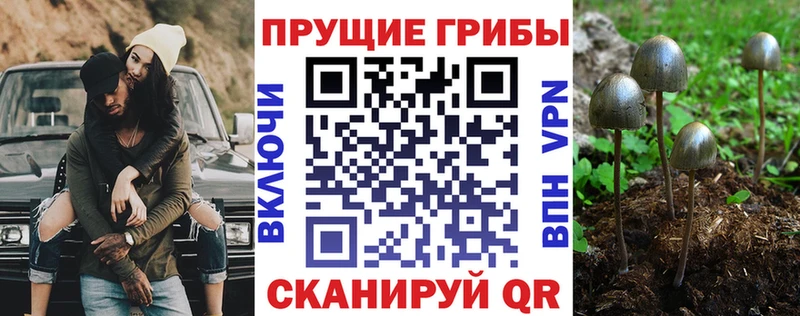Псилоцибиновые грибы MAGIC MUSHROOMS  Купить где  Холм 
